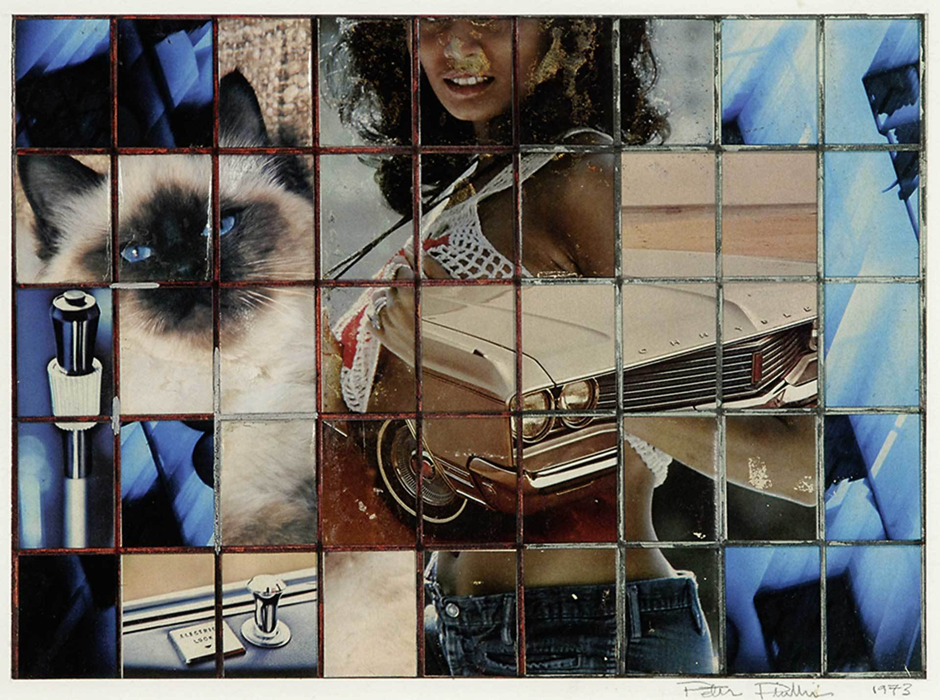 Peter Phillips, Cat and Pin Up