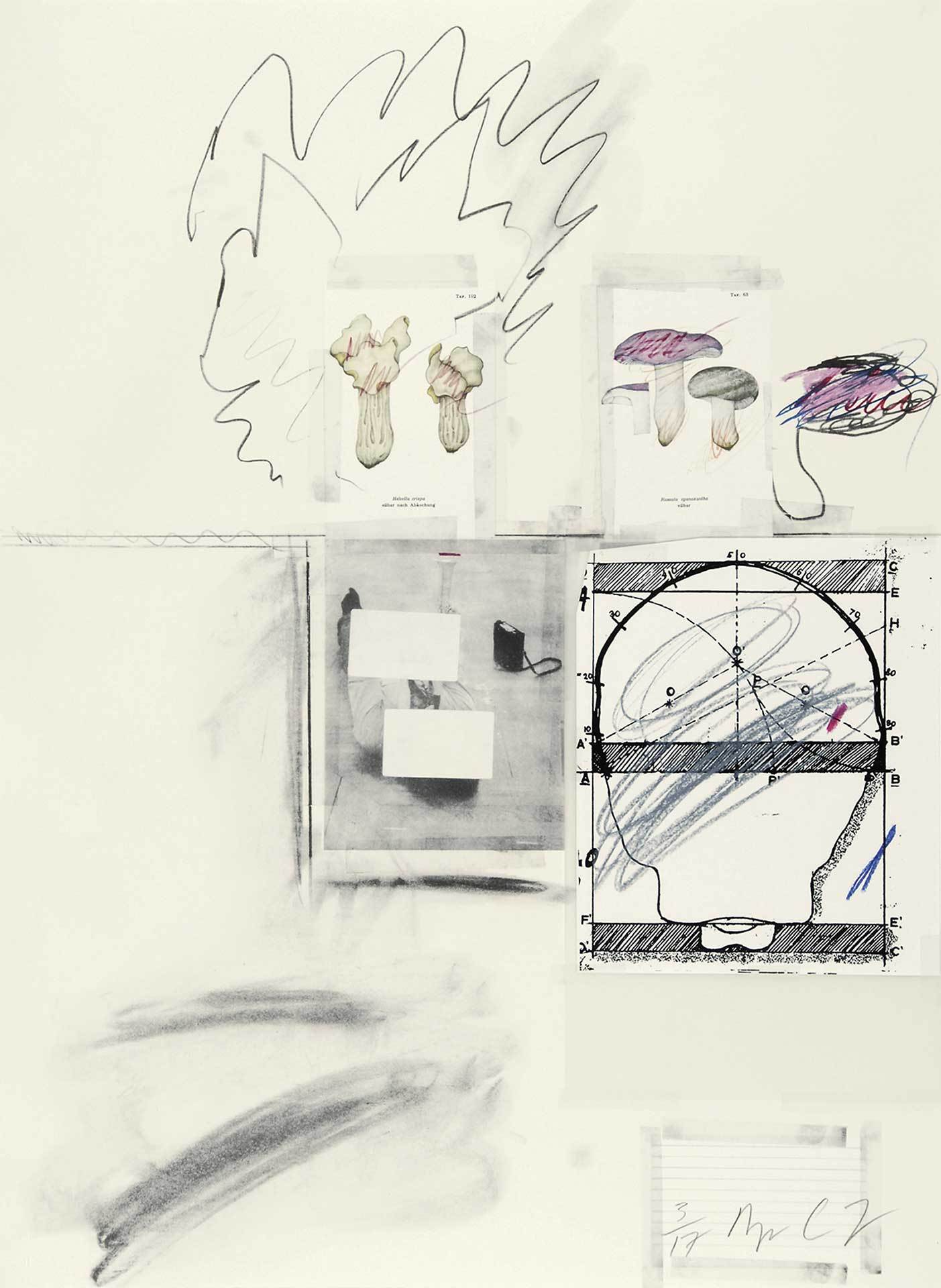 Cy Twombly, Portfolio. Natural History Part I Mushrooms