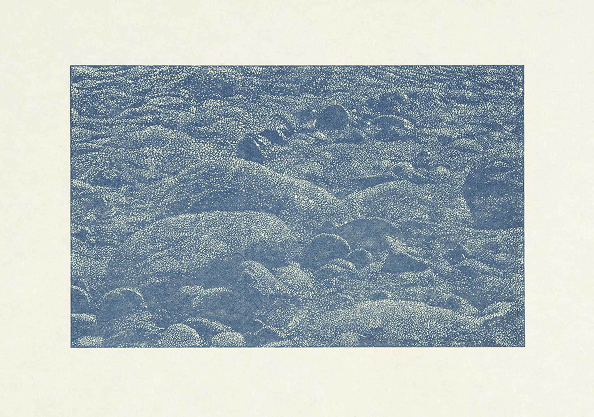Franz Gertsch, Cima del mar II