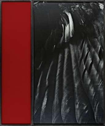 Diptychon. Crow-wing and Monochrome