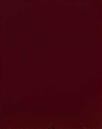 Red Painting No. 15