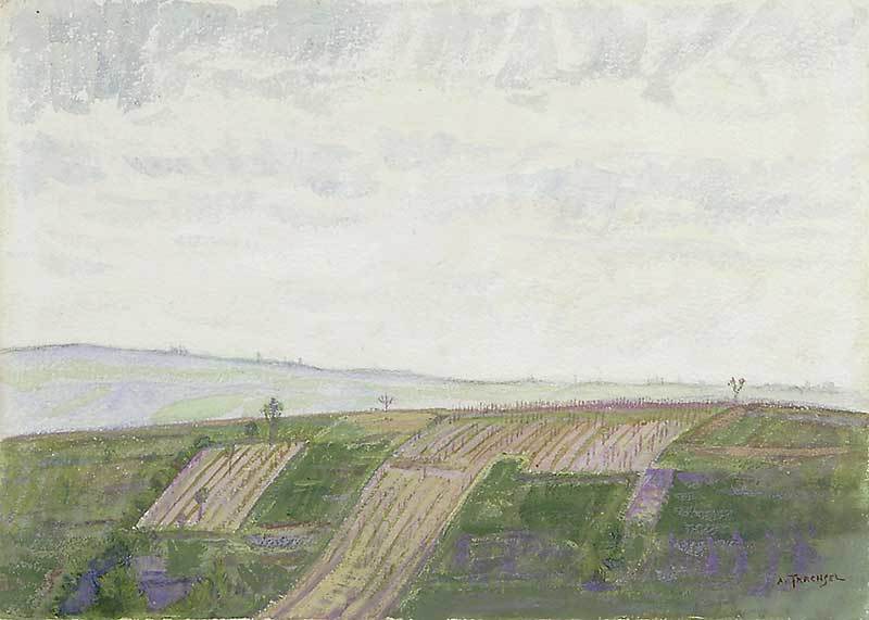 Albert Trachsel, Landschaft