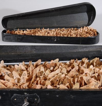 Violin case with maple leafs