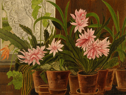 Rosa Kakteen am Fenster, 1941
