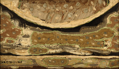 Epithelium, 1927
