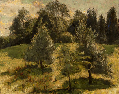 Waldlichtung