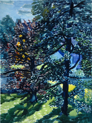 Blutbuche im Gegenlicht, 1936