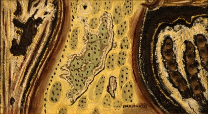 Survol d'un étang, 1928