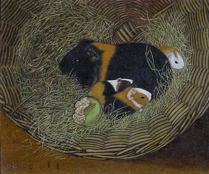 Meerschweinchen in einer Zaine, 1941