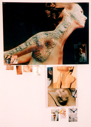 Looking For Love (Pinnwand), 1996
