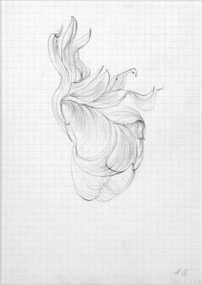 Sketch