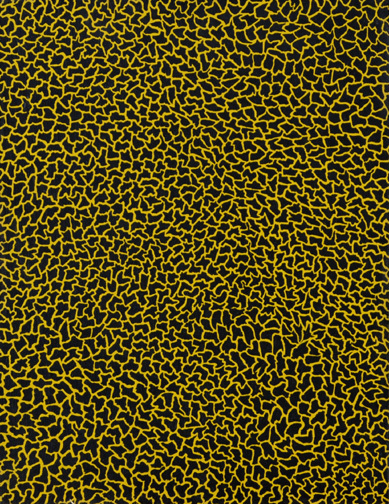 Yayoi Kusama, Nets, 1985