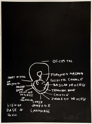View of Base of Skull, from "Anatomy", 1982