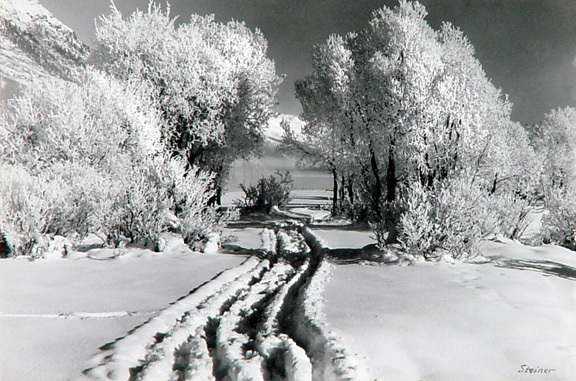 Albert Steiner, Wintermorgen bei St. Moritz