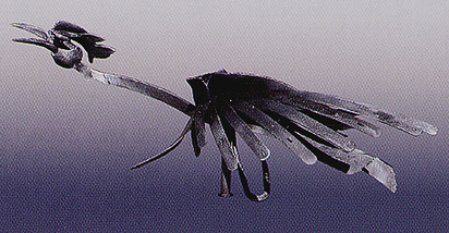 Bird, 1992