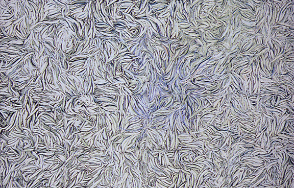 Alfred Hofkunst, Untitled