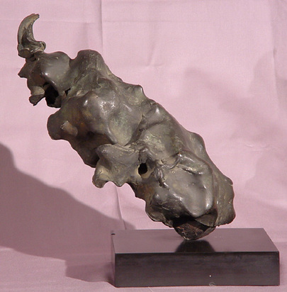 Rhinoceros