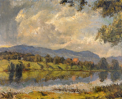 Waldweiher - Horgener Berg