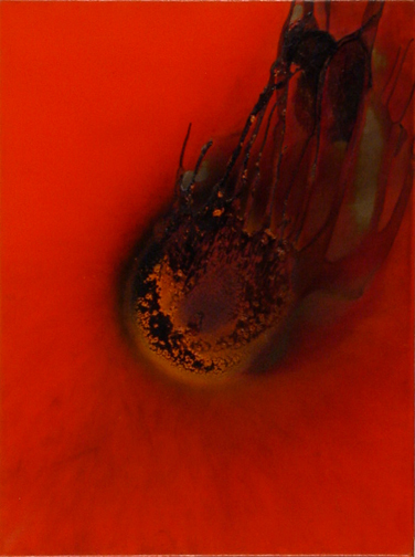 Otto Piene, Anniversary Star, 1976