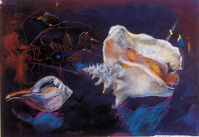 Recto: Shells, 1986; Verso: Male Torso
