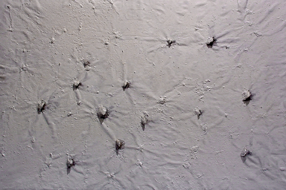 Miquel Barceló, Huîtres I, 1988