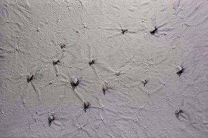 Huîtres I, 1988