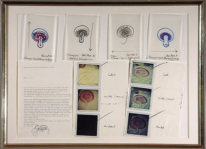 Champignons, 1981