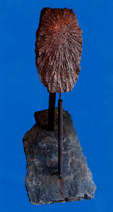 The Bouncing Sun, 1989/90