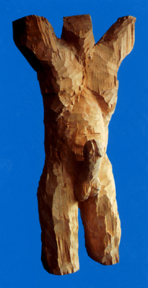 Torso