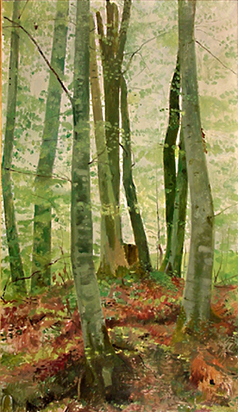 Dolderwald, um 1930