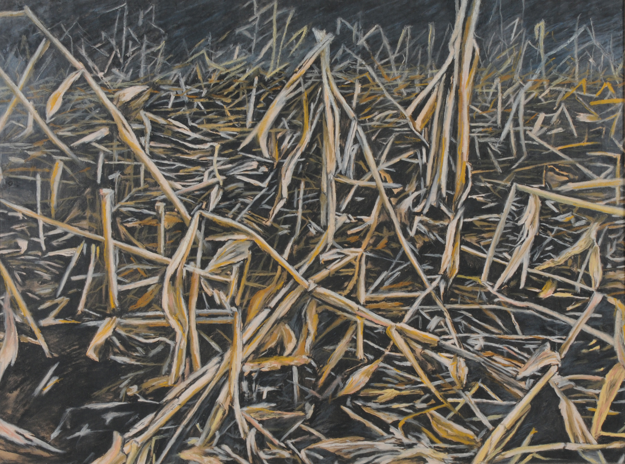 Bignia Corradini, Untitled