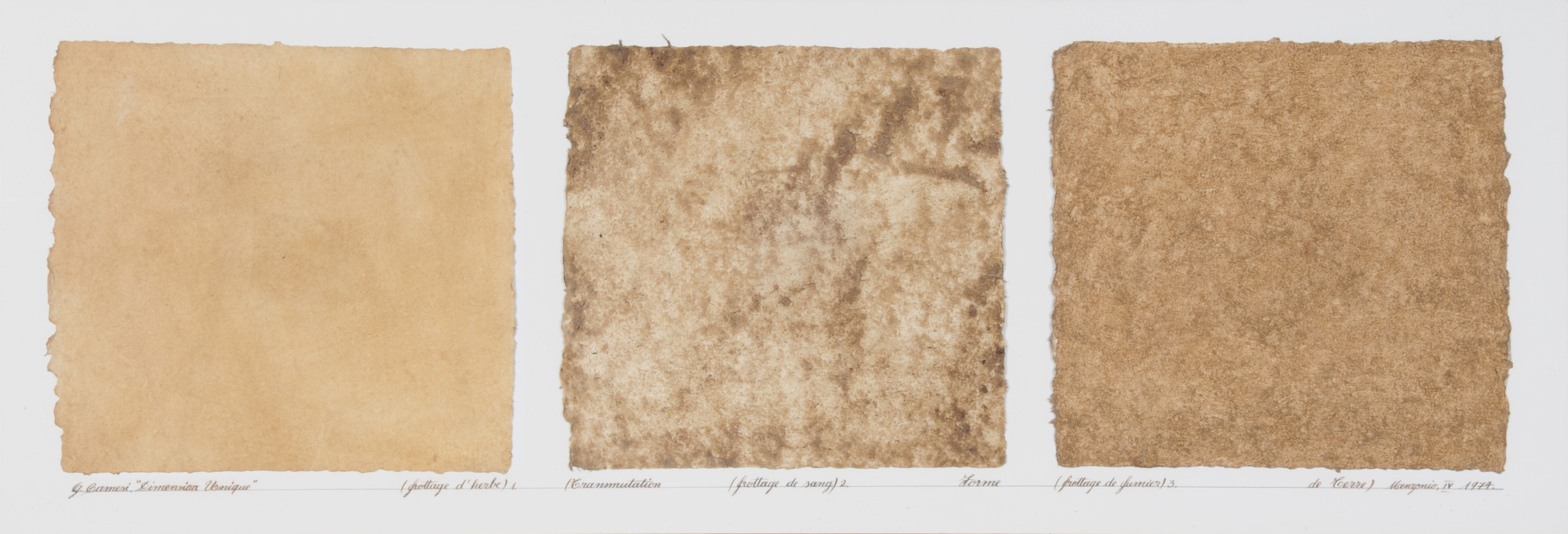 Gianfredo Camesi, Dimension unique