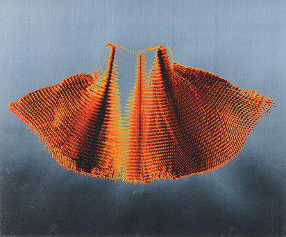 Blatt aus "Galaxis"