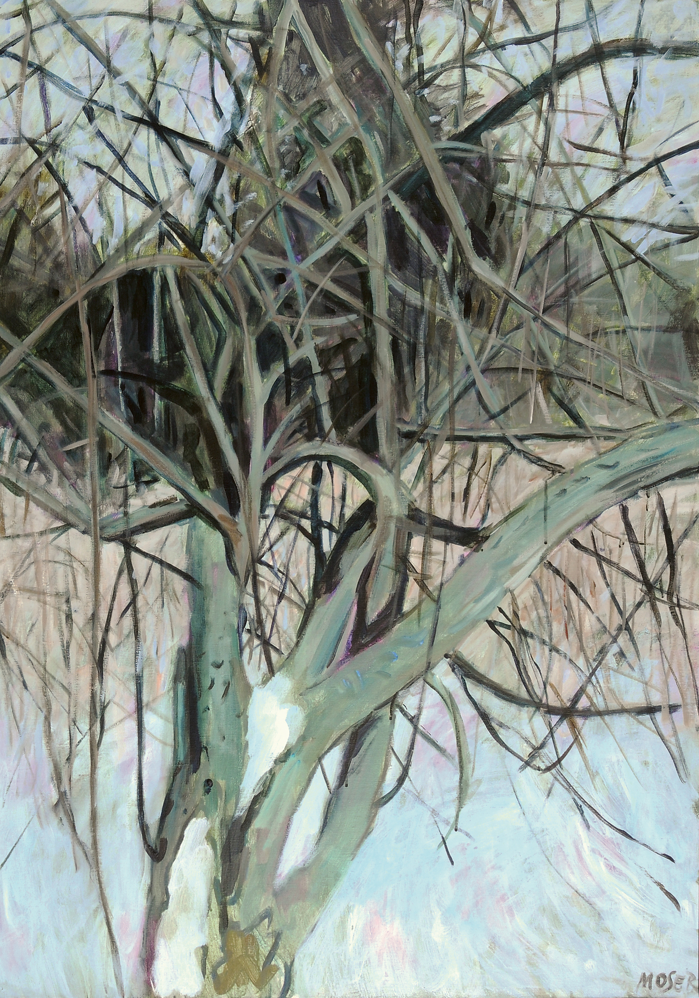 Wilfrid Moser, Baum im Schnee