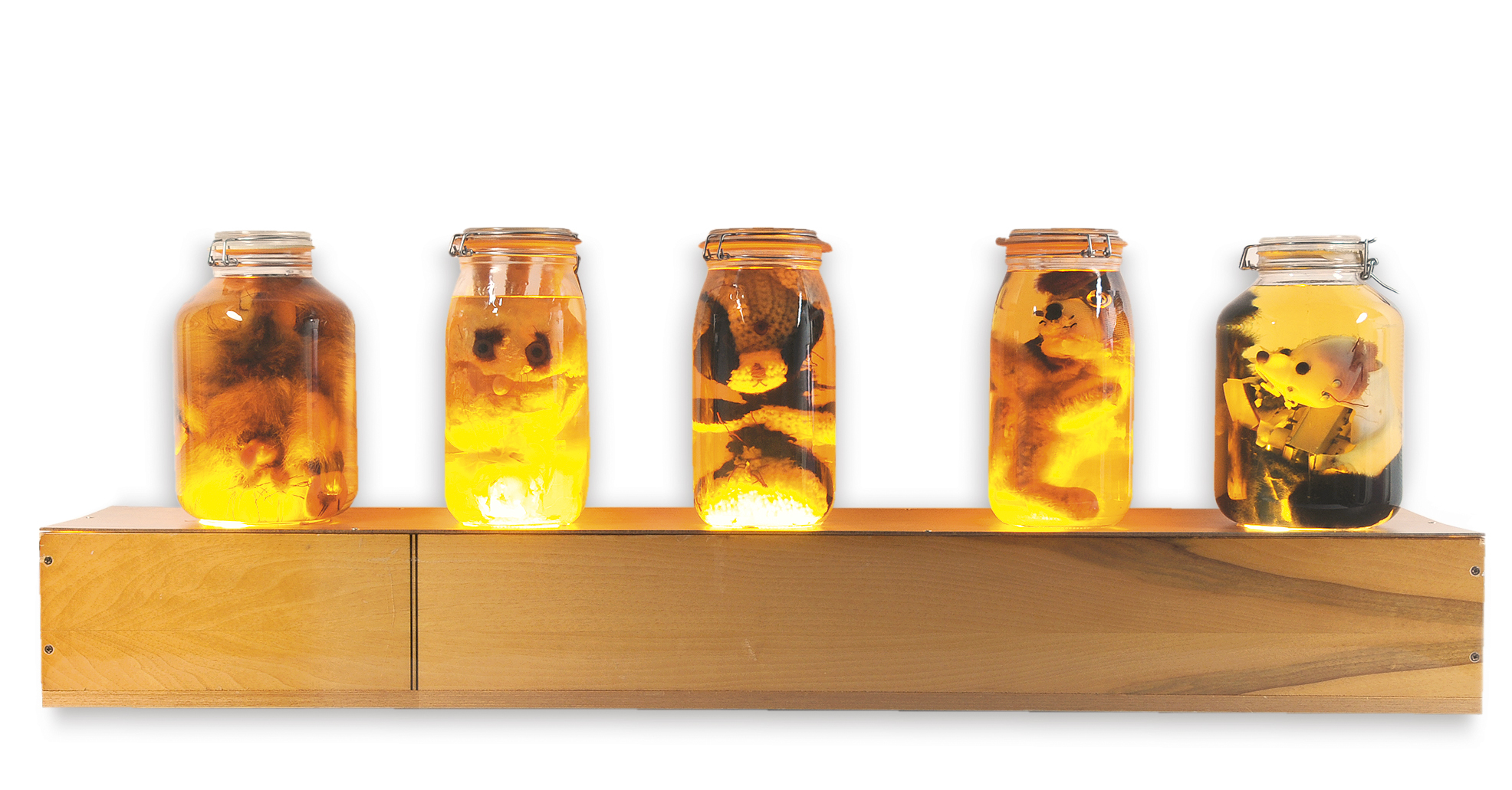 Gelitin/Gelatin, Untitled