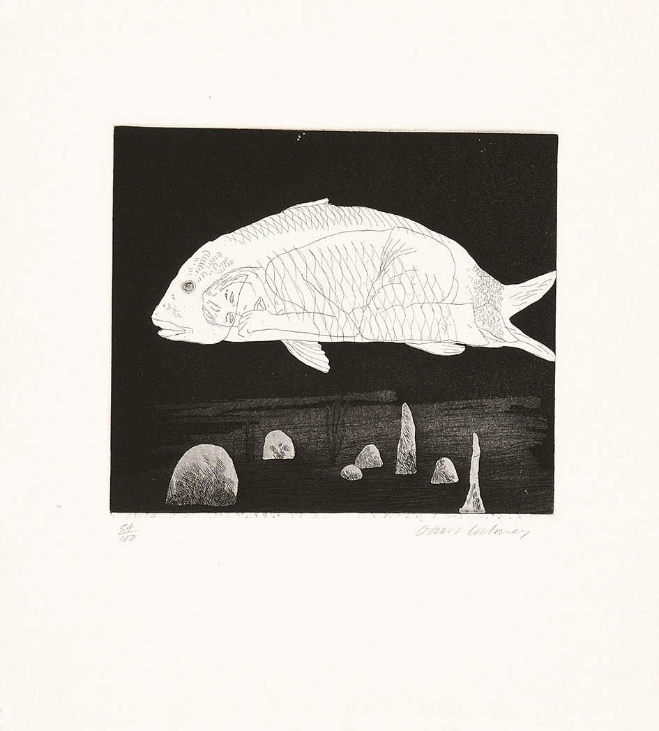 David Hockney, The Boy Hidden in a Fish, aus "Six Fairy Tales from the Brothers Grimm"