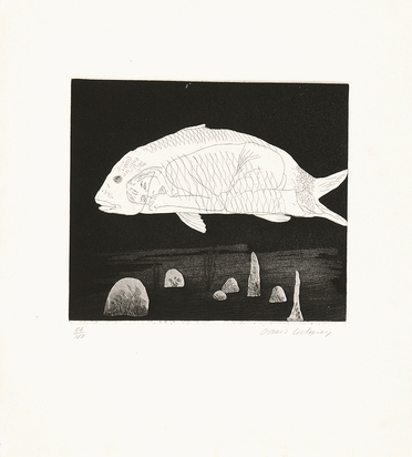 The Boy Hidden in a Fish, from "Six Fairy Tales from the Brothers Grimm"