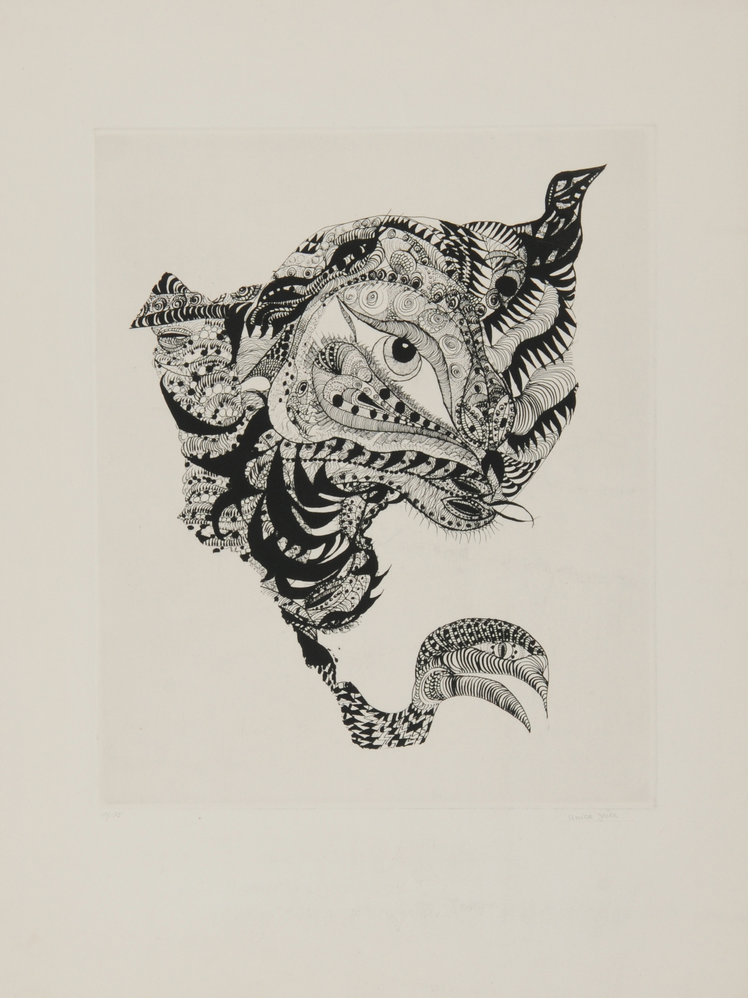 Unica Zürn, Untitled