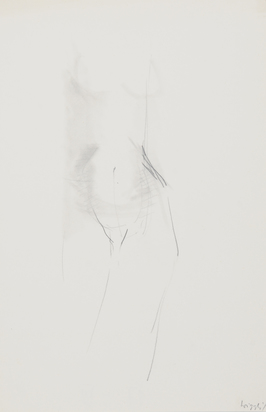 Female Torso