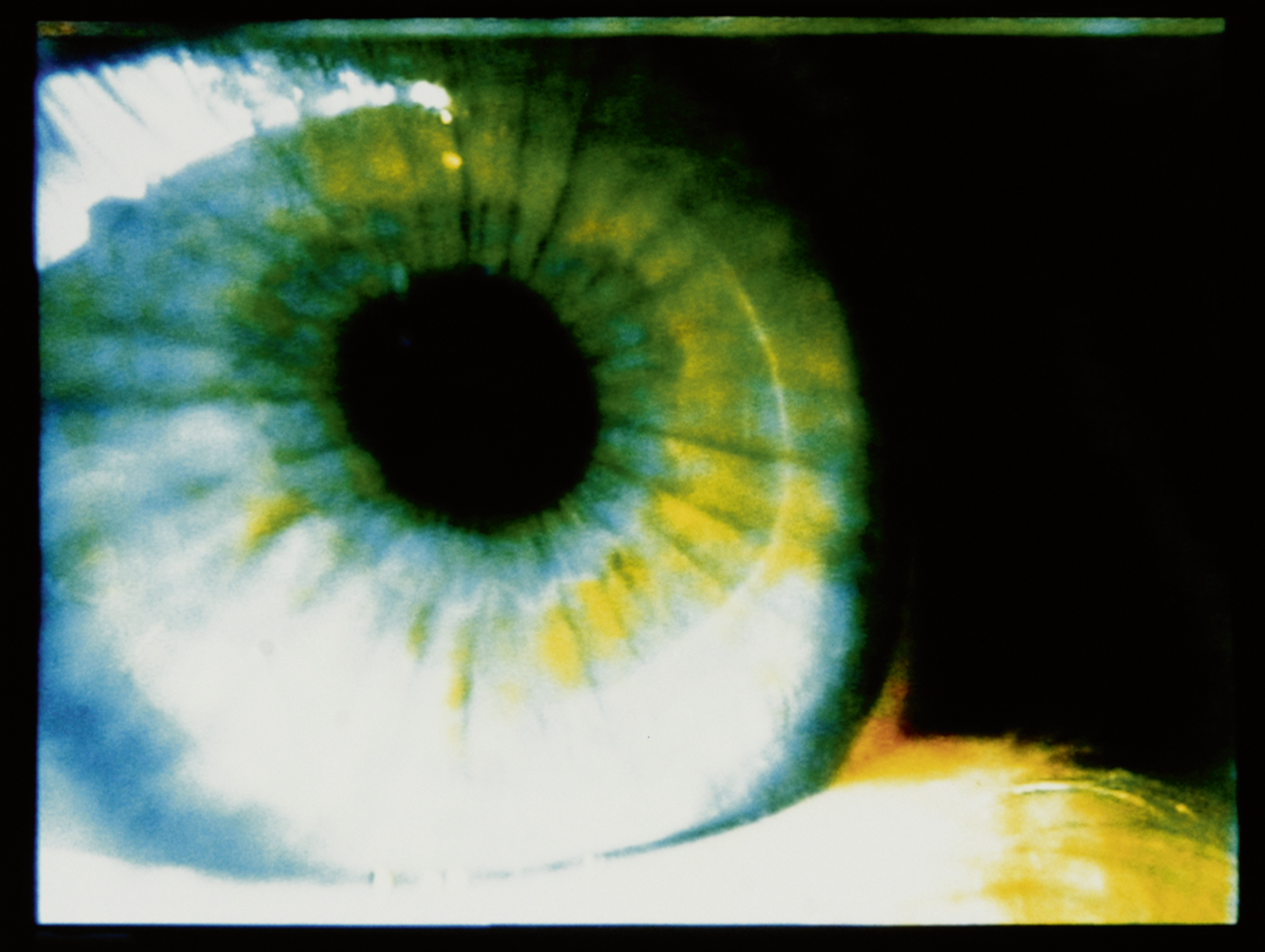 Pipilotti Rist, Love