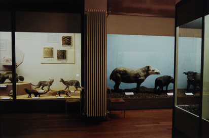 Naturhistorisches Museum Basel