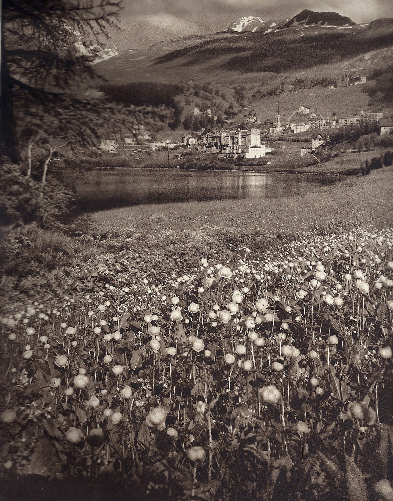 Albert Steiner, Buch. Albert Steiner. Engadiner Landschaften, Ausgewählte Aufnahmen von A. Steiner