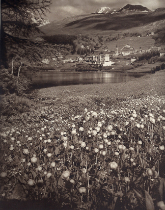 Buch. Albert Steiner. Engadiner Landschaften, Ausgewählte Aufnahmen von A. Steiner
