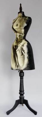 Torso