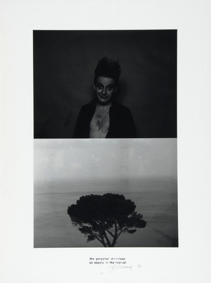 Werk 10, aus der Serie "The personal dissolves so easily in the typical"