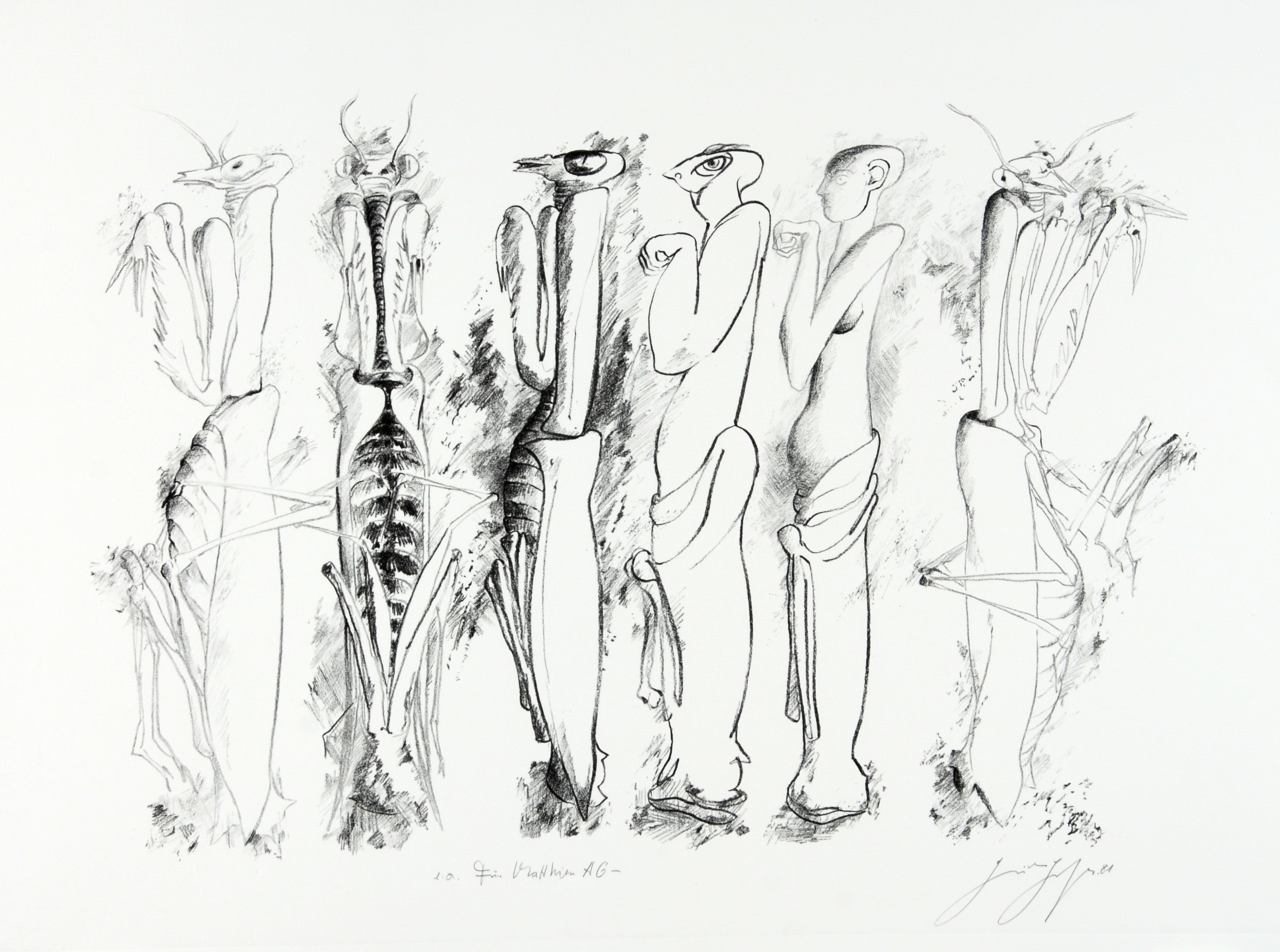 Günter Grass, 2 sheets: Untitled, 1981; Untitled