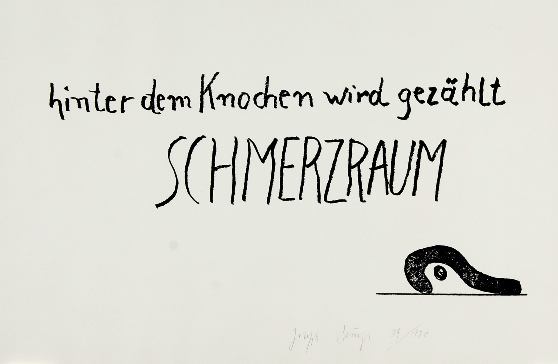 Joseph Beuys, Schmerzraum