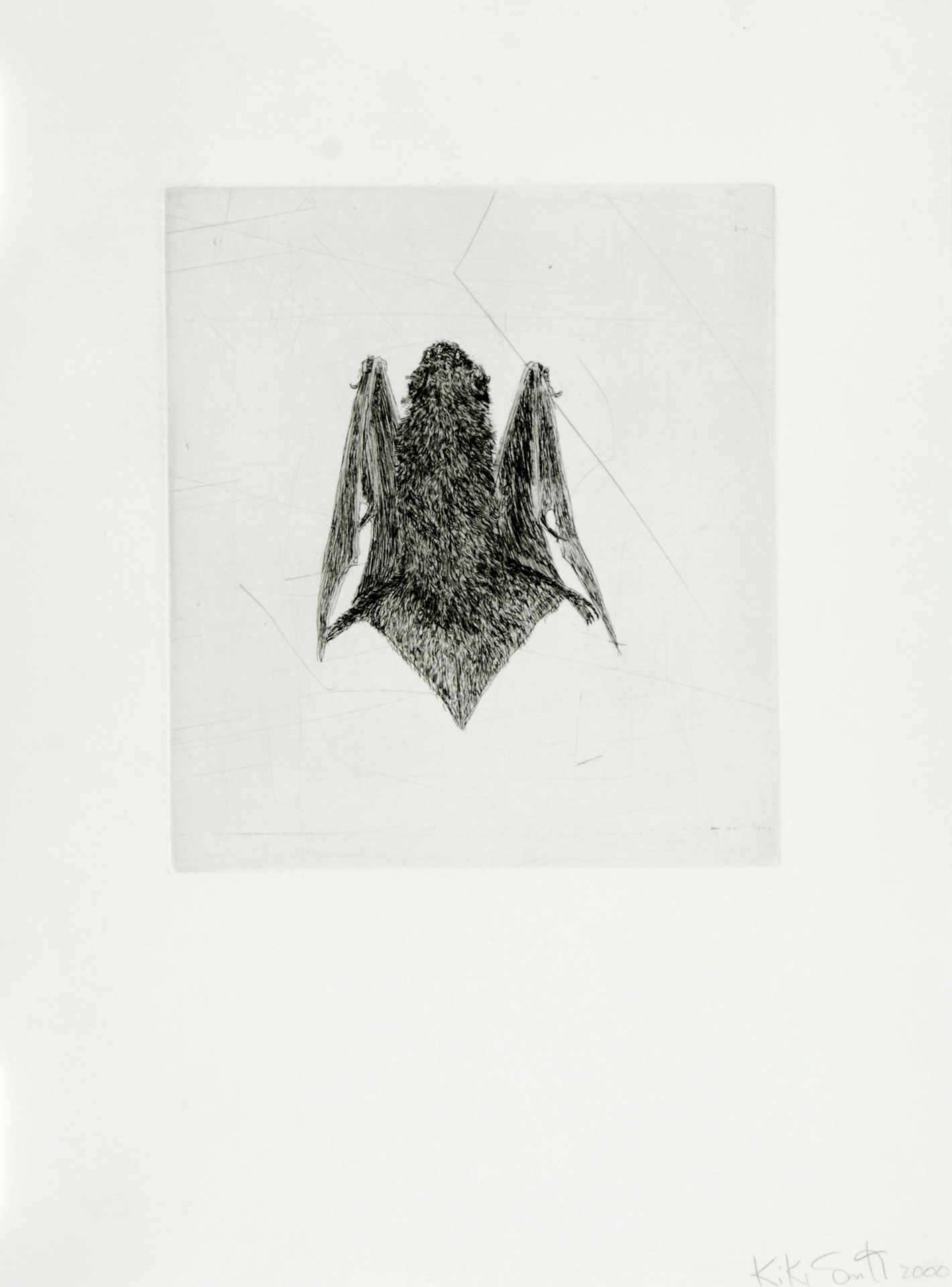 Kiki Smith, 2 Blätter: B.A.T.