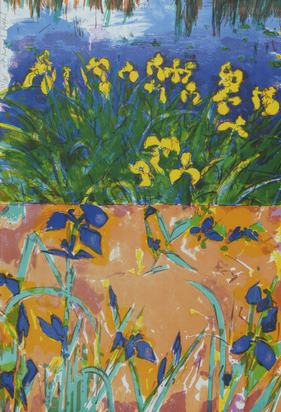 Iris-Block II