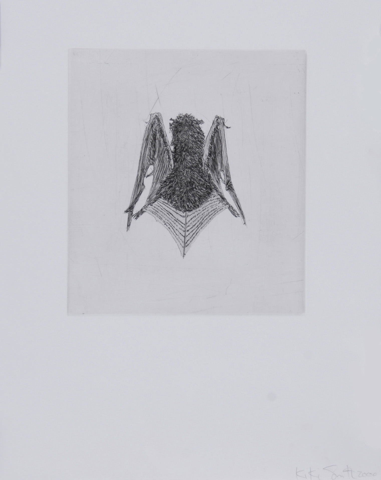 Kiki Smith, W.A.T. (back)